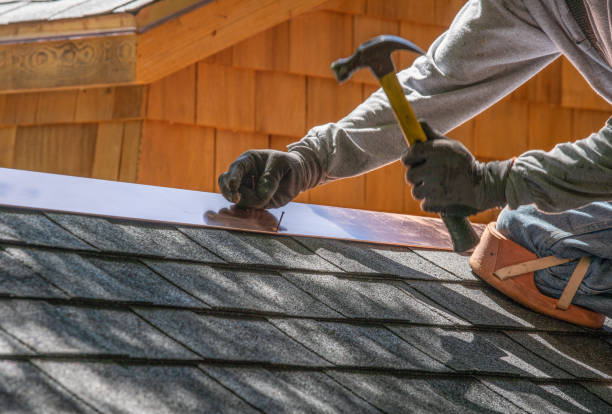 Best Chimney Flashing Repair  in Holly Springs, GA